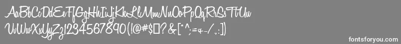 HoneyScriptSemibold-fontti – valkoiset fontit harmaalla taustalla