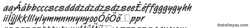 VanDijkBoldLetPlain.1.0 Font – Hungarian Fonts