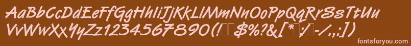 VanDijkBoldLetPlain.1.0 Font – Pink Fonts on Brown Background