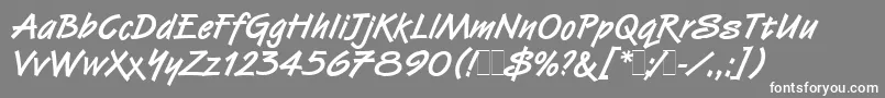 フォントVanDijkBoldLetPlain.1.0 – 灰色の背景に白い文字