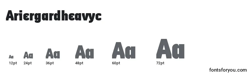 sizes of ariergardheavyc font, ariergardheavyc sizes