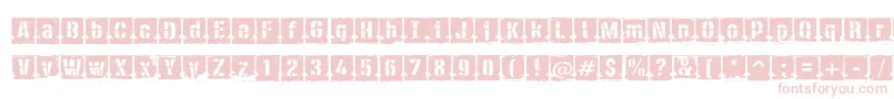 PfdieselNegative-Schriftart – Rosa Schriften