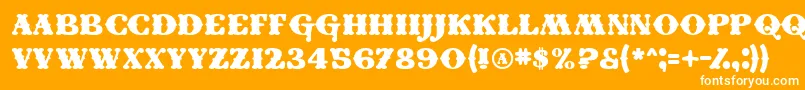 Conei Font – White Fonts on Orange Background