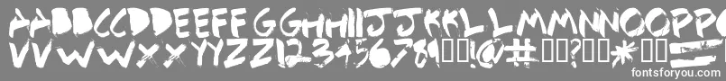 DetailbetaRegular Font – White Fonts on Gray Background