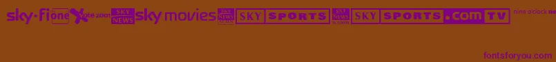 Sky1998ChannelLogos Font – Purple Fonts on Brown Background