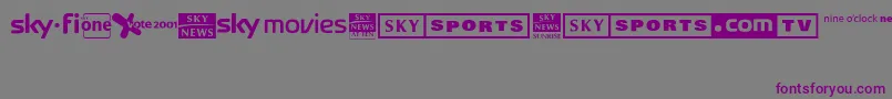 フォントSky1998ChannelLogos – 紫色のフォント、灰色の背景