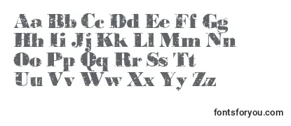 Pastduedemo Font