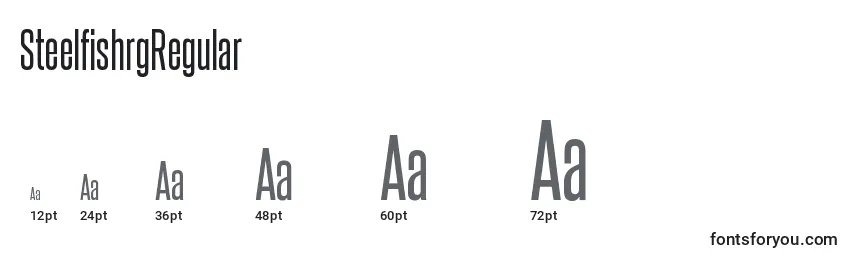 SteelfishrgRegular Font Sizes