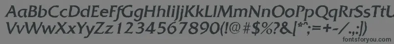 Czcionka QuadratantiqueItalic – czarne czcionki na szarym tle