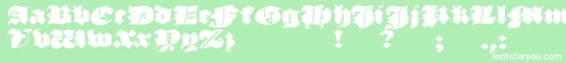 JmhMorenetaDivine-Schriftart – Weiße Schriften auf grünem Hintergrund