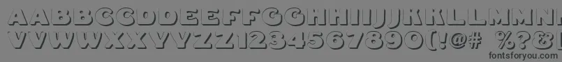 Fatfreddieshadow Font – Black Fonts on Gray Background