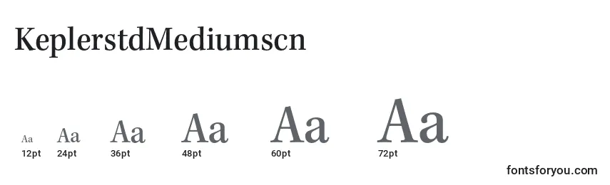 Размеры шрифта KeplerstdMediumscn