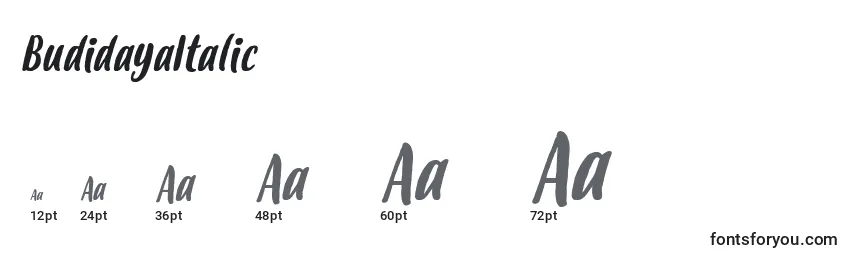 BudidayaItalic Font Sizes