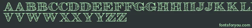 Retrographdemo Font – Green Fonts on Black Background