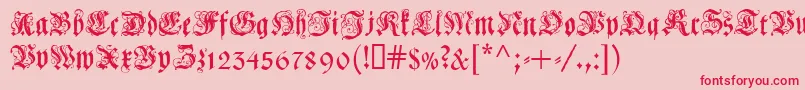 Coelcf Font – Red Fonts on Pink Background