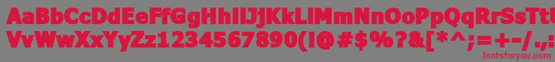 FavaBlack Font – Red Fonts on Gray Background