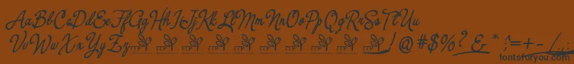 YerbaluisaDemoFontFfp Font – Black Fonts on Brown Background