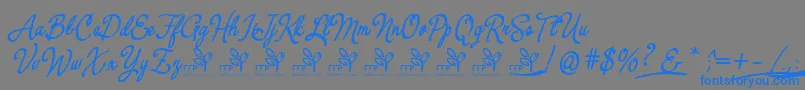 YerbaluisaDemoFontFfp-Schriftart – Blaue Schriften auf grauem Hintergrund