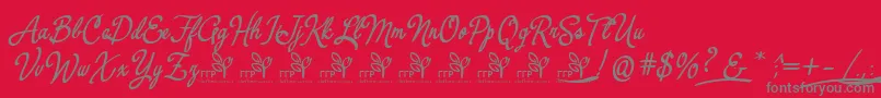YerbaluisaDemoFontFfp Font – Gray Fonts on Red Background
