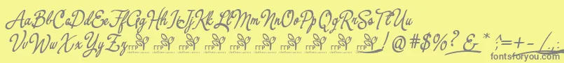 YerbaluisaDemoFontFfp Font – Gray Fonts on Yellow Background