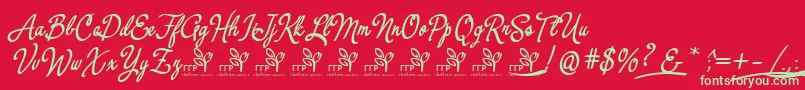 YerbaluisaDemoFontFfp Font – Green Fonts on Red Background