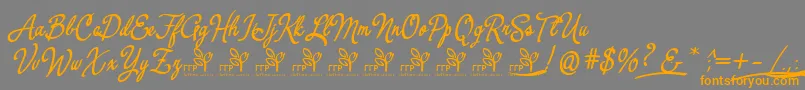フォントYerbaluisaDemoFontFfp – オレンジの文字は灰色の背景にあります。