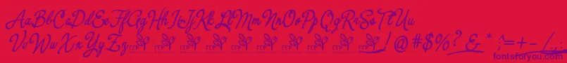 YerbaluisaDemoFontFfp Font – Purple Fonts on Red Background