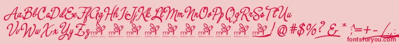 YerbaluisaDemoFontFfp-Schriftart – Rote Schriften auf rosa Hintergrund