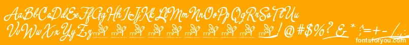 YerbaluisaDemoFontFfp-Schriftart – Weiße Schriften auf orangefarbenem Hintergrund