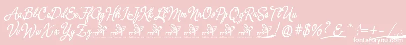 YerbaluisaDemoFontFfp-Schriftart – Weiße Schriften auf rosa Hintergrund