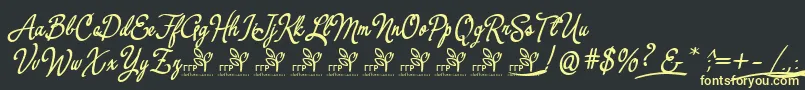 Weitere Informationen zur YerbaluisaDemoFontFfp-Schriftart YerbaluisaDemoFontFfp-Schriftart – Gelbe Schriften auf schwarzem Hintergrund