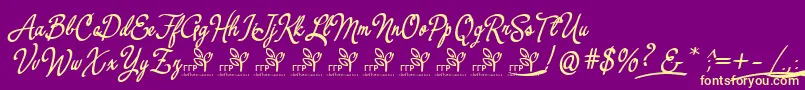 fuente YerbaluisaDemoFontFfp – Fuentes Amarillas Sobre Fondo Morado