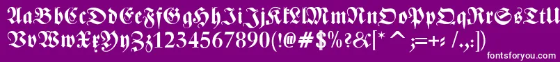 ZentenarFrakturBold Font – White Fonts on Purple Background