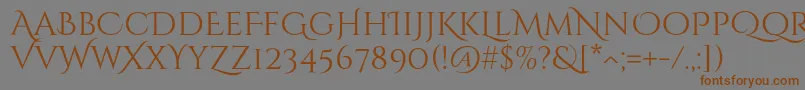 Lisätietoja CinzeldecorativeRegular-fontista CinzeldecorativeRegular-fontti – ruskeat fontit harmaalla taustalla
