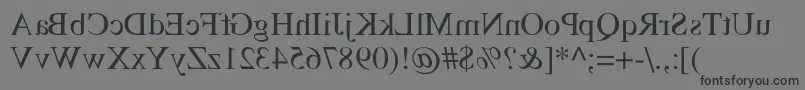 TempsMirrorMedium-Schriftart – Schwarze Schriften auf grauem Hintergrund