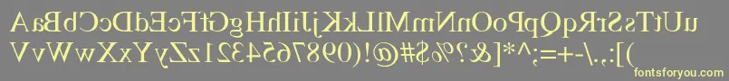 TempsMirrorMedium-Schriftart – Gelbe Schriften auf grauem Hintergrund