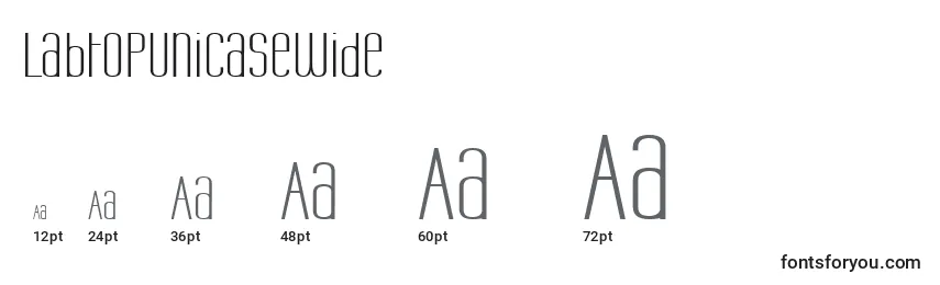 LabtopUnicaseWide Font Sizes