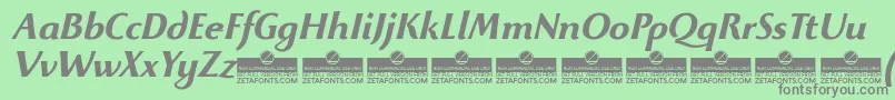 BeatrixantiquaBolditalicTrial Font – Gray Fonts on Green Background