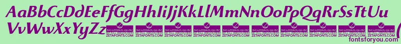 BeatrixantiquaBolditalicTrial Font – Purple Fonts on Green Background