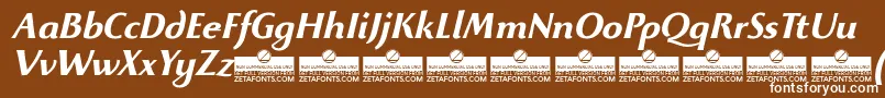 BeatrixantiquaBolditalicTrial Font – White Fonts on Brown Background