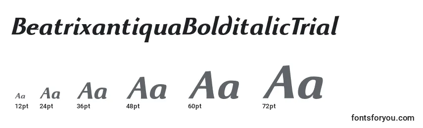 Размеры шрифта BeatrixantiquaBolditalicTrial