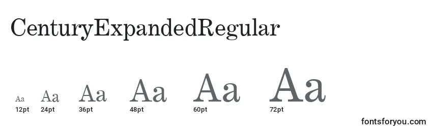 CenturyExpandedRegular Font Sizes