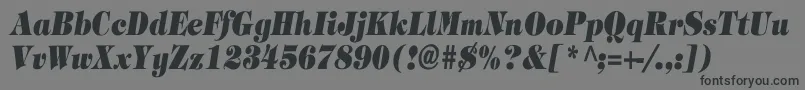 TimpaniHeavyItalicCn-fontti – mustat fontit harmaalla taustalla