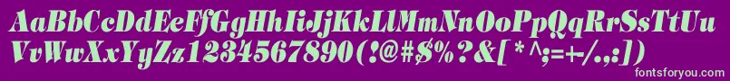 TimpaniHeavyItalicCn Font – Green Fonts on Purple Background