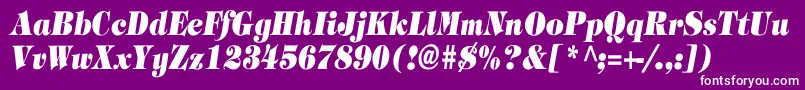 フォントTimpaniHeavyItalicCn – 紫の背景に白い文字
