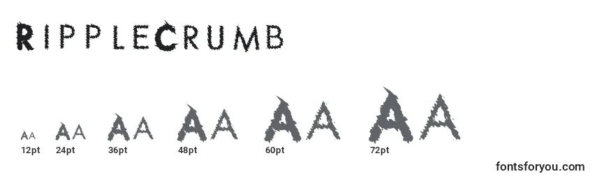 Größen der Schriftart RippleCrumb