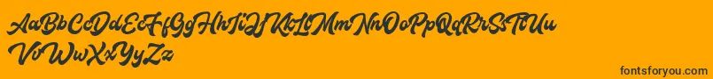 Houstanderdemo Font – Black Fonts on Orange Background