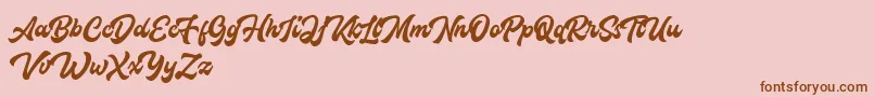 More about Houstanderdemo Font Houstanderdemo Font – Brown Fonts on Pink Background