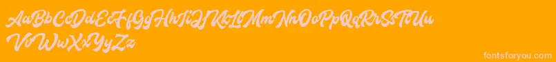 Houstanderdemo Font – Pink Fonts on Orange Background