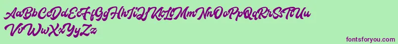 Houstanderdemo Font – Purple Fonts on Green Background